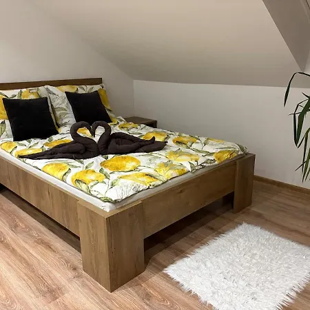 Attic Апартаменты Kocovce